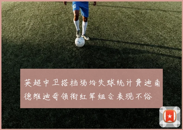 英超中卫搭档场均失球统计费迪南德维迪奇领衔红军组合表现不俗