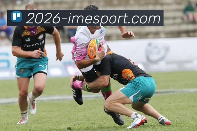 IM电竞服务体系